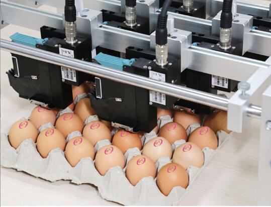 对比分析小字符喷码机在鸡蛋标识行业应用的优劣势