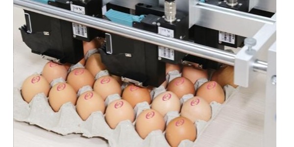 对比分析小字符喷码机在鸡蛋标识行业应用的优劣势